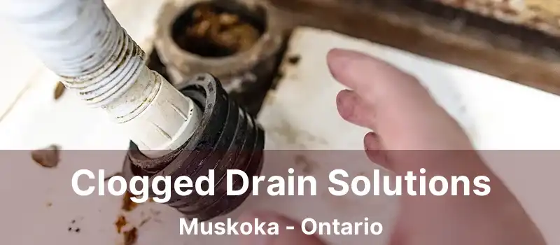  Clogged Drain Solutions Muskoka - Ontario