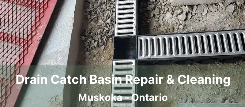  Drain Catch Basin Repair & Cleaning Muskoka - Ontario