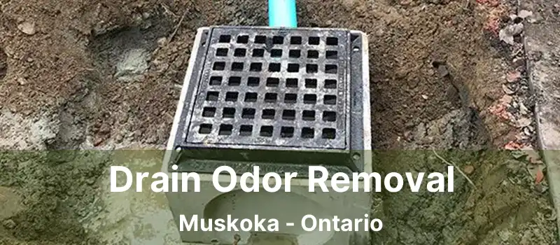  Drain Odor Removal Muskoka - Ontario