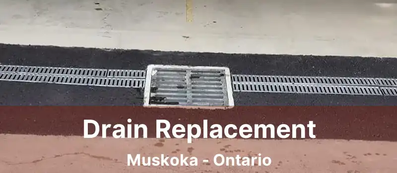  Drain Replacement Muskoka - Ontario