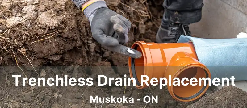  Trenchless Drain Replacement Muskoka - ON